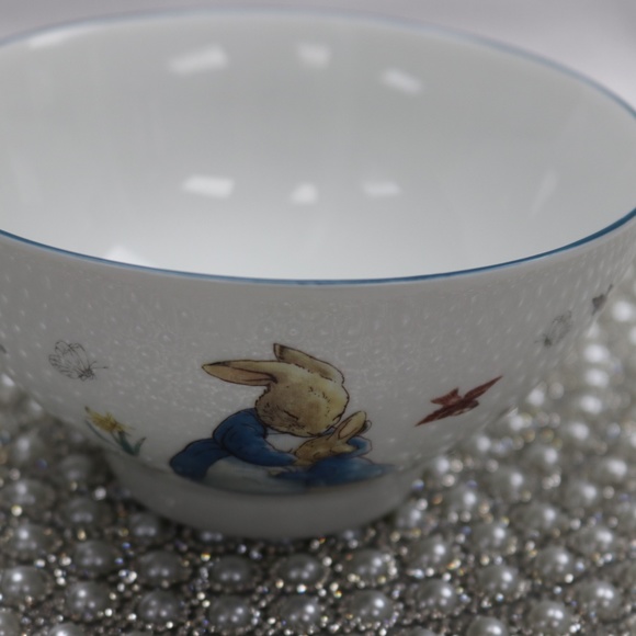 BEATRIX POTTER PETER BUNNY RABBIT EASTER RICE BOWLS - S/4 - NEW